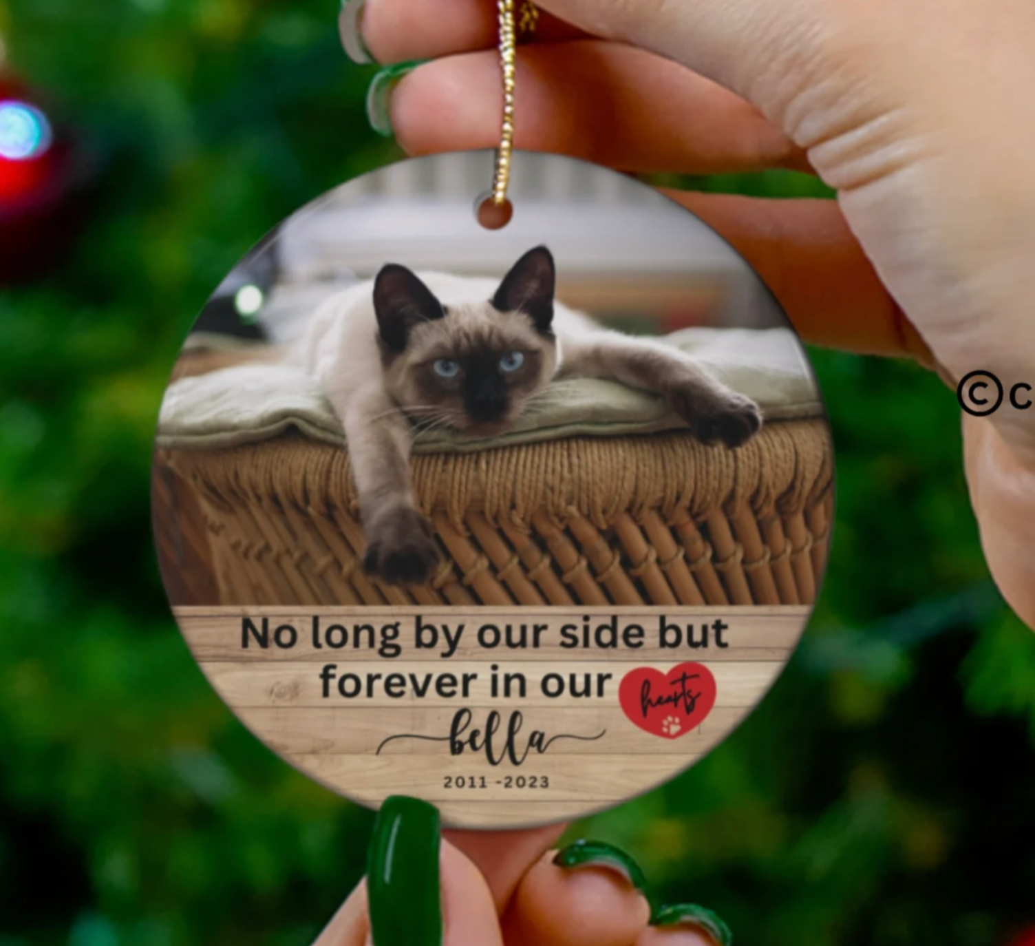 In Memory of Your Pet, Custom ornaments - personalized Ornament!