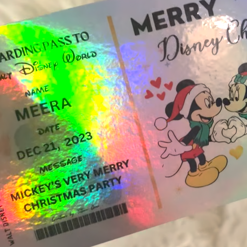 Physical Holographic Disneyworld or Disneyland π Surprise Ticket Trip Reveal