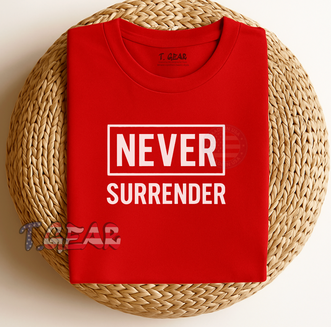 Never Surrender - Love America