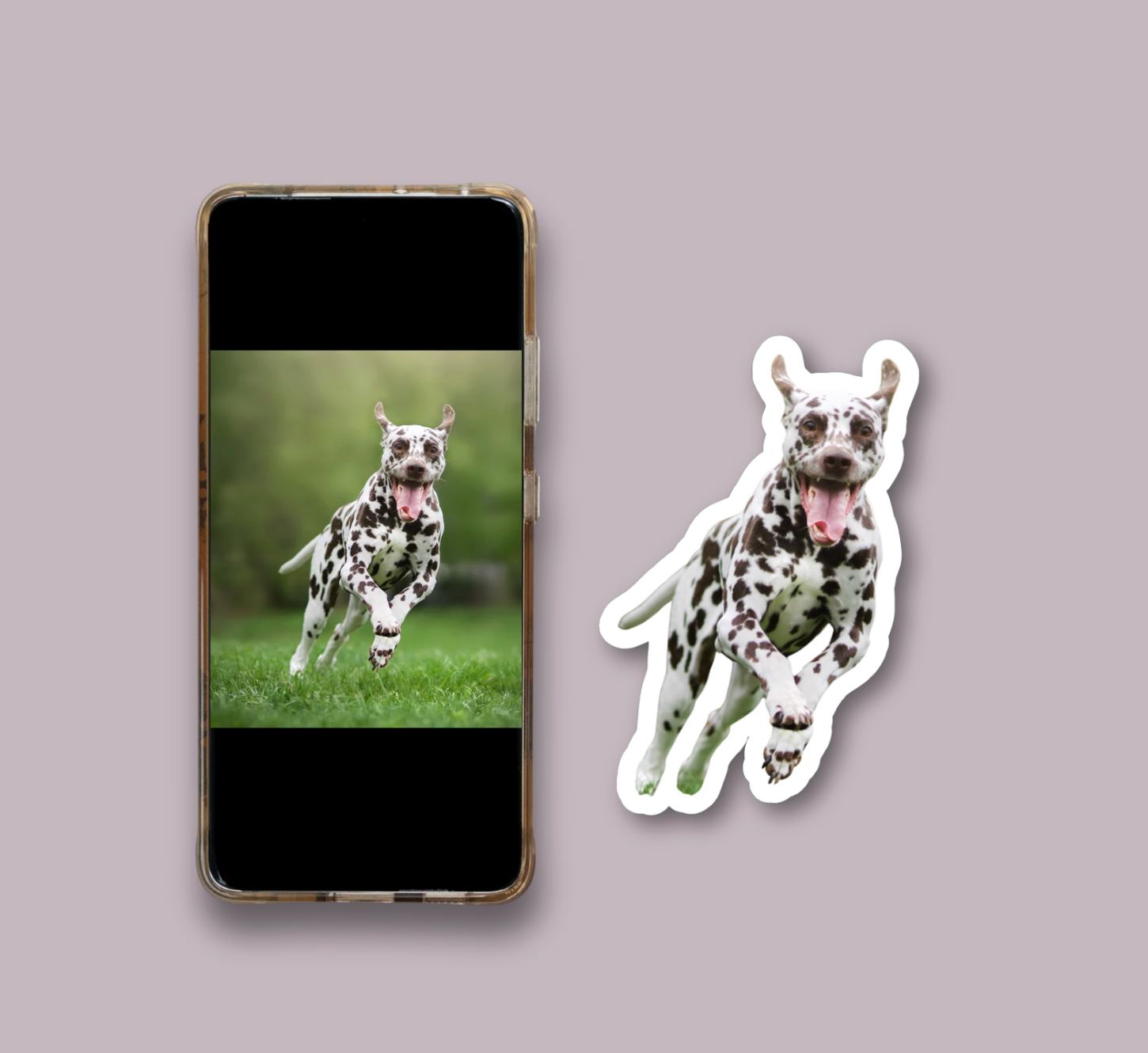 Custom Shaped Photo Magnets β Turn Memories into Art β¨