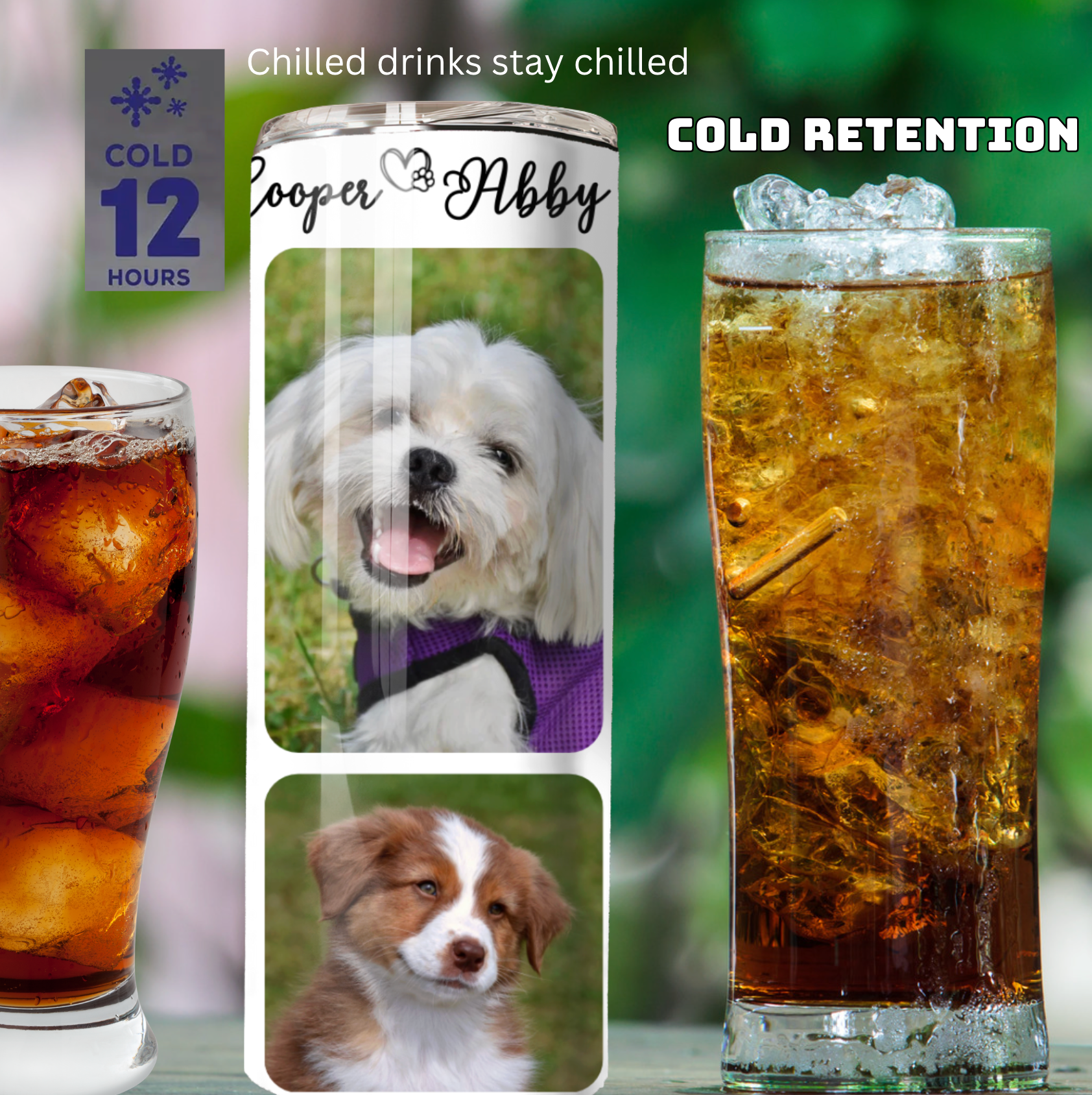 6 Collage Picture Tumbler – Best Gift Ever! 🎁