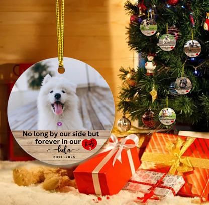 In Memory of Your Pet, Custom ornaments - personalized Ornament!